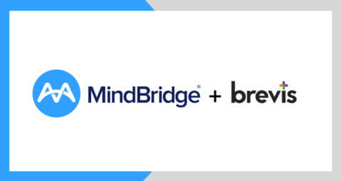 mindbridge ai review