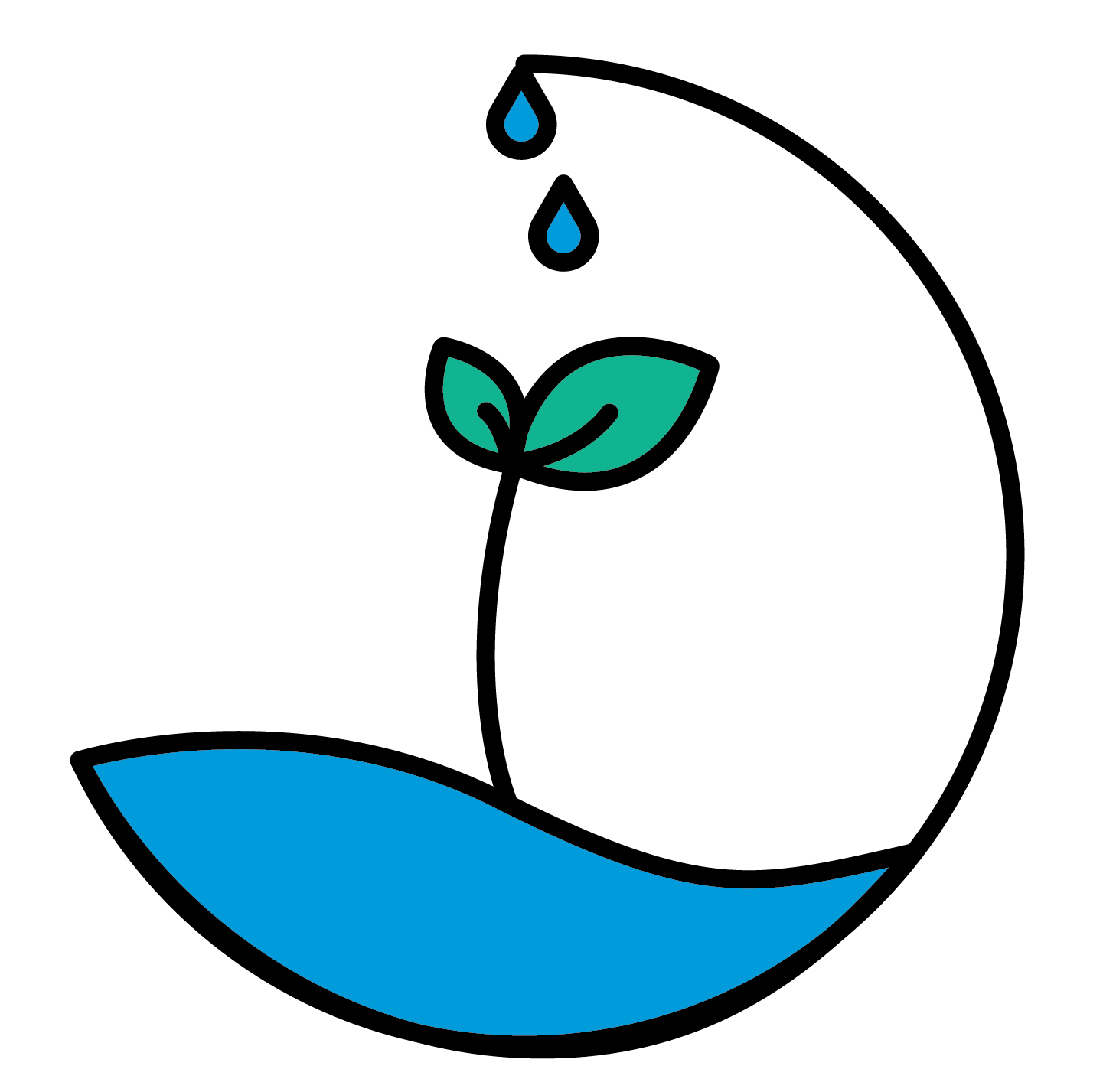 plant illustration