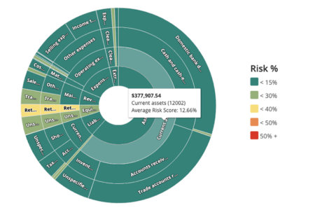 Risk bubble screen from MindBridge dashboard