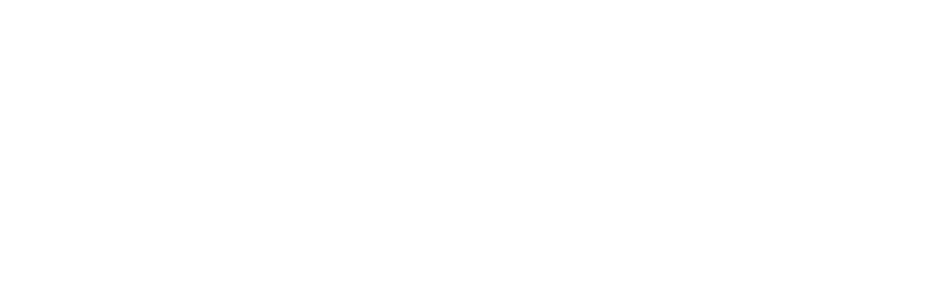 The PUN Group