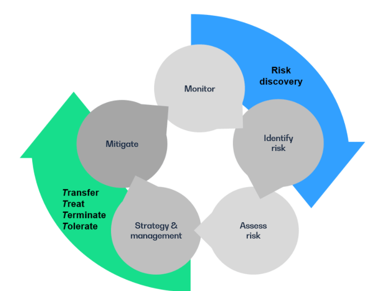  Flow chart depicting the combination of the ERM process and the 4 T's of risk management.