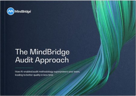 MindBridge Audit Approach - Cover