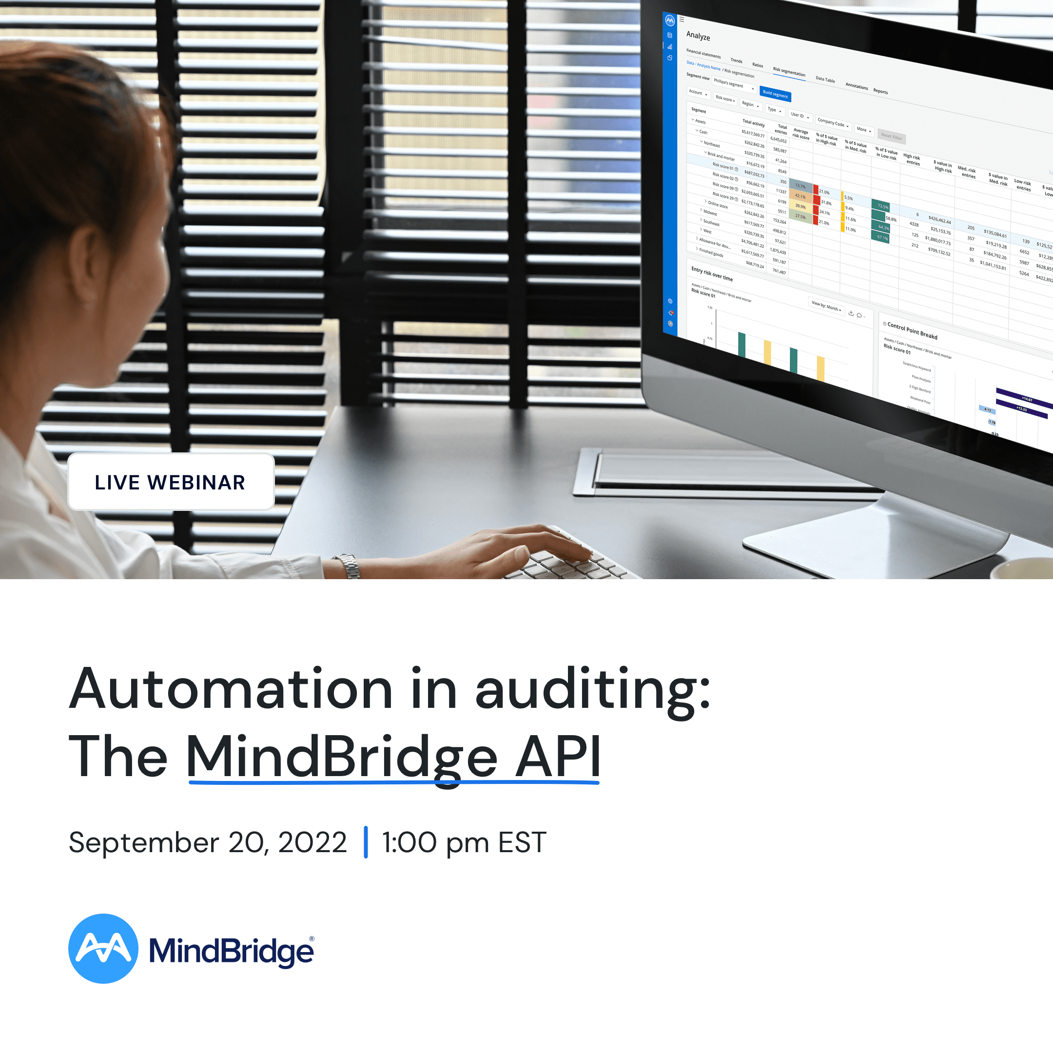  Automation in Auditing at scale using the MindBridge API