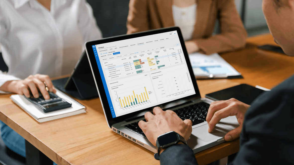 MindBridge Risk segmentation dashboard