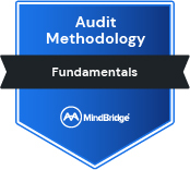 Audit Methodology Fundamentals